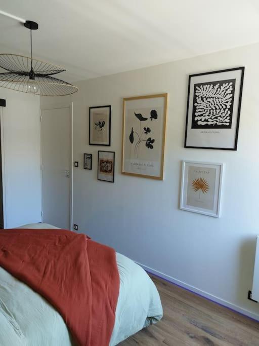 Appartement Au Coeur De Paimpol Bagian luar foto